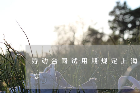 劳动合同试用期规定(上海劳动合同试用期规定)