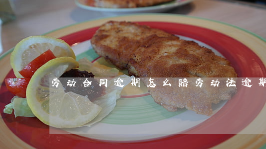 劳动合同逾期怎么赔(劳动法逾期支付赔偿金)