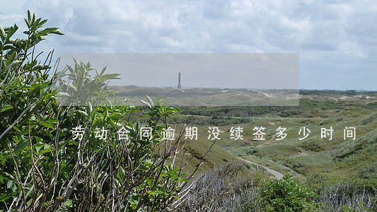 劳动合同逾期没续签多少时间