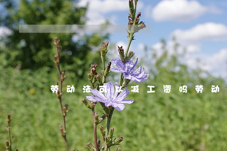 劳动法可以减工资吗(劳动合同可以降工资吗)