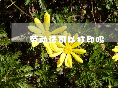 劳动法可以打印吗