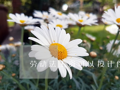 劳动法工资可以按计件算吗