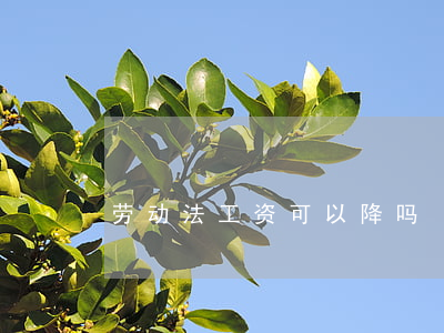 劳动法工资可以降吗