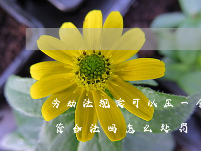 劳动法规定可以压一个月工资吗(压一个月工资合法吗怎么处罚)