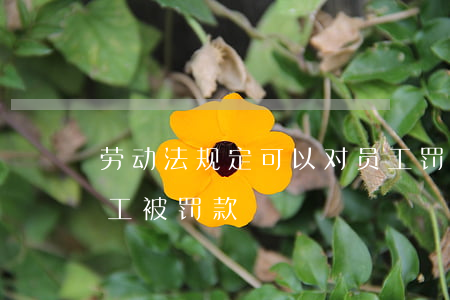 劳动法规定可以对员工罚款吗(劳动法关于员工被罚款)