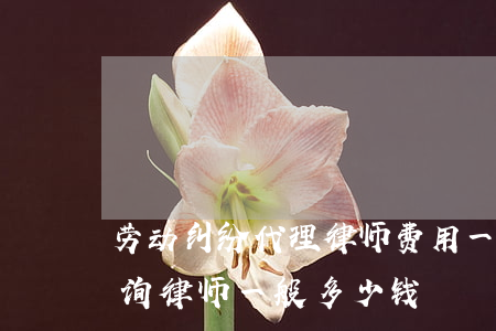 劳动纠纷代理律师费用一般多少(劳动纠纷咨询律师一般多少钱)