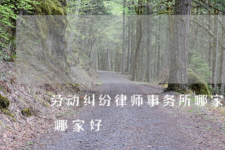 劳动纠纷律师事务所哪家好(工伤律师事务所哪家好)