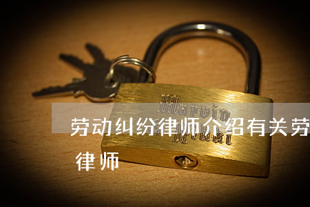 劳动纠纷律师介绍(有关劳动方面的请找哪个律师?)