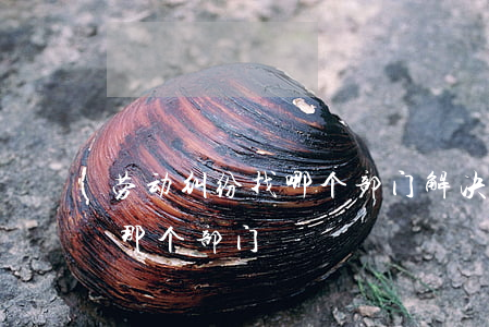 劳动纠纷找哪个部门解决(关于劳资纠纷去找那个部门)