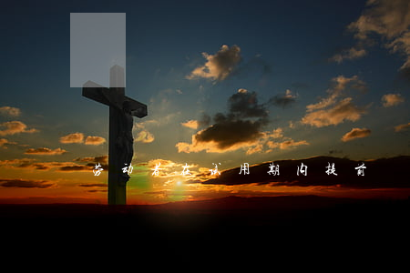 劳动者在试用期内提前
