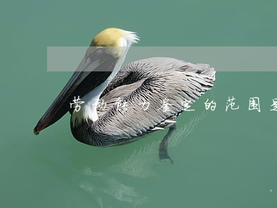 劳动能力鉴定的范围是怎么样的