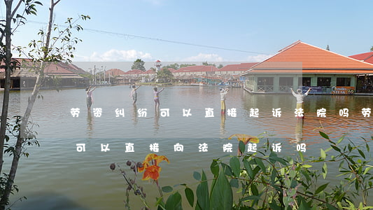 劳资纠纷可以直接起诉法院吗(劳动争议案件可以直接向法院起诉吗)