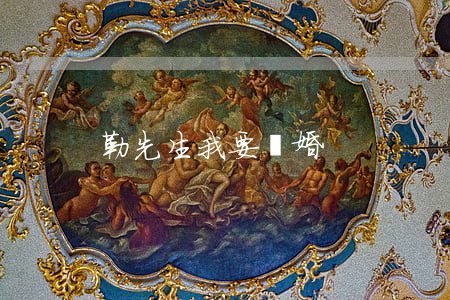 勒先生我要離婚