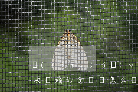 動(dòng)了無(wú)數(shù)次離婚的念頭該怎么辦(一直有離婚的念頭怎么辦)