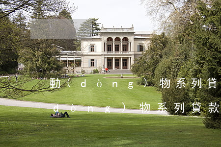 動(dòng)物系列貸款app逾期(動(dòng)物系列貸款app逾期)