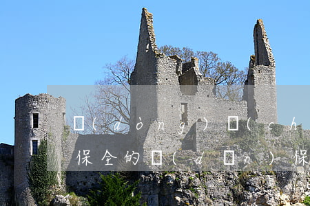 動(dòng)產(chǎn)可以做訴訟保全的擔(dān)保物嗎(可以保全擔(dān)保人的財(cái)產(chǎn)嗎)