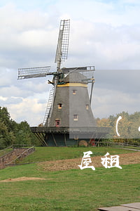 動產(chǎn)租賃合同糾紛如何管轄(房屋租賃合同糾紛按照不動產(chǎn)糾紛確定管轄)