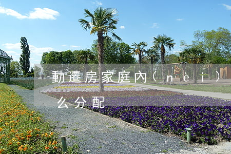 動遷房家庭內(nèi)如何分配，動遷房怎么分配