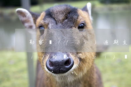 勘察費(fèi)逾期支付-勘察費(fèi)的會(huì)計(jì)分錄