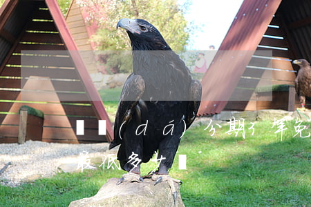 勝達(dá)分期3年免息嗎(勝達(dá)最低多少錢)