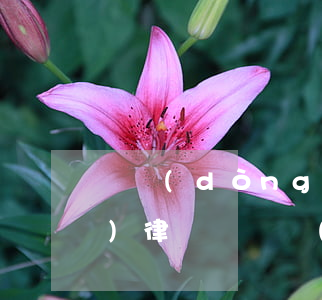 勞動(dòng)仲裁一定要請(qǐng)律師嗎(勞動(dòng)仲裁一定要請(qǐng)律師嗎)