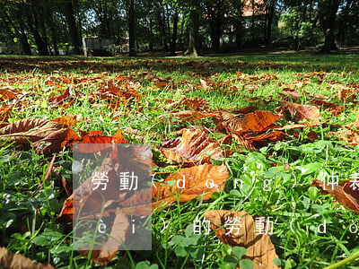 勞動(dòng)仲裁二審是怎么收費(fèi)的(勞動(dòng)仲裁,一審,二審)
