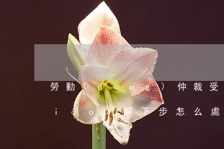 勞動(dòng)仲裁受理后不接收調(diào)解下步怎么處理