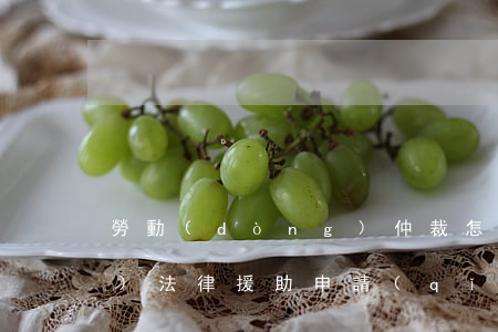 勞動(dòng)仲裁怎么申請(qǐng)法律援助(申請(qǐng)法律援助律師會(huì)帶你去勞動(dòng)仲裁)