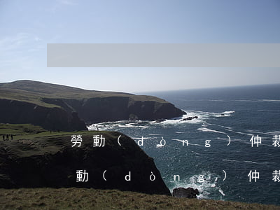 勞動(dòng)仲裁換了律師怎么處理(勞動(dòng)仲裁調(diào)解需要律師嗎)