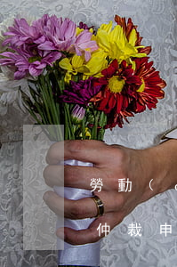 勞動(dòng)仲裁爭(zhēng)議仲裁申請(qǐng)書怎么寫(勞動(dòng)仲裁爭(zhēng)議仲裁申請(qǐng)書怎么寫有涂改)