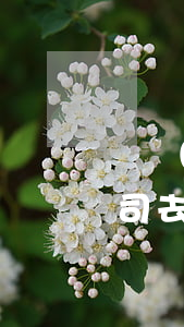 勞動(dòng)仲裁要開庭見面嗎(代表公司去勞動(dòng)仲裁開庭要注意什么?)