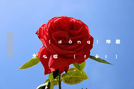 勞動(dòng)仲裁請(qǐng)律師怎么收費(fèi)