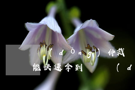 勞動(dòng)仲裁過(guò)后如何能快速拿到錢，勞動(dòng)仲裁怎么快速拿到錢