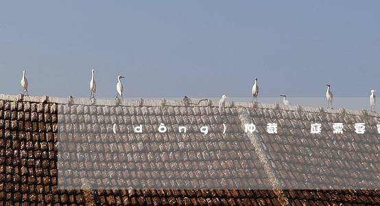 勞動(dòng)仲裁開庭需要穿律師袍嗎