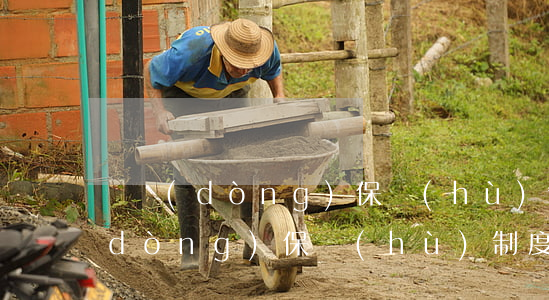 勞動(dòng)保護(hù)制度(勞動(dòng)保護(hù)制度包括)
