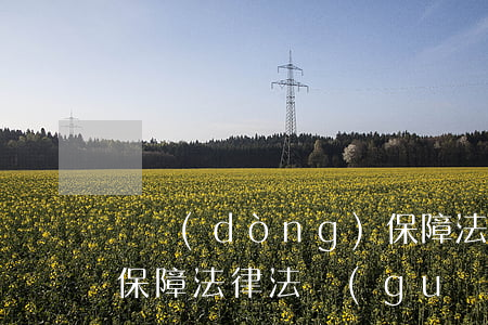勞動(dòng)保障法(勞動(dòng)保障法律法規(guī)知識(shí))