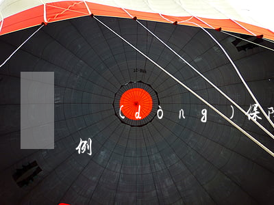 勞動(dòng)保障監(jiān)察條例