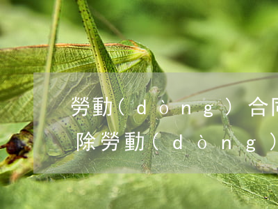 勞動(dòng)合同到期不解除可以嗎（解除勞動(dòng)合同逾期不辦）