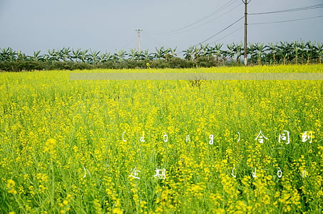 勞動(dòng)合同到期后單位續(xù)簽逾期 勞動(dòng)合同到期后單位續(xù)簽逾期怎么辦