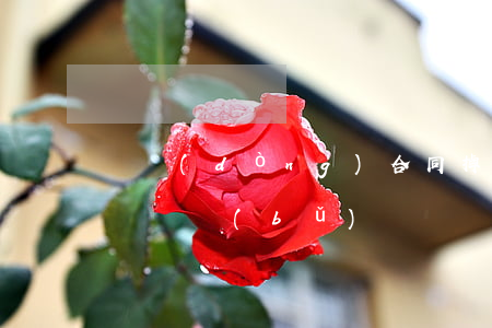 勞動(dòng)合同掉了可以補(bǔ)簽嗎(補(bǔ)簽勞動(dòng)合同還可以要求賠償嗎?)