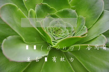 勞動(dòng)合同日期簽錯(cuò)是否還有效力