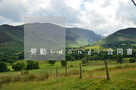 勞動(dòng)合同書模板