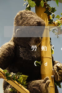 勞動(dòng)合同法一共多少條例(勞動(dòng)法共有多少條規(guī)定)