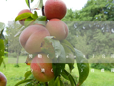 勞動(dòng)合同法中的經(jīng)濟(jì)性裁員