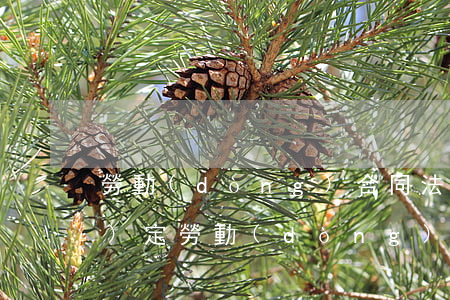 勞動(dòng)合同法試用期規(guī)定(勞動(dòng)合同法試用期規(guī)定研究生)