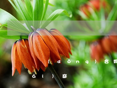 勞動(dòng)合同糾紛上訴多久開(kāi)庭