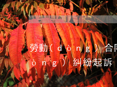勞動(dòng)合同糾紛如何判(勞動(dòng)糾紛起訴)