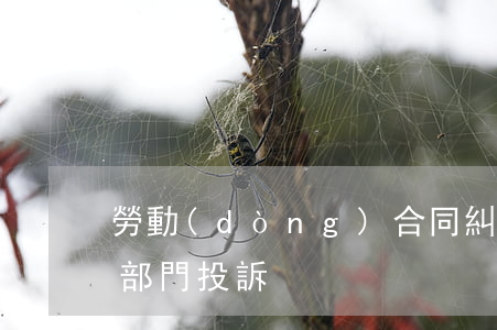 勞動(dòng)合同糾紛找哪個(gè)部門投訴
