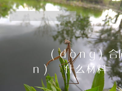 勞動(dòng)合同糾紛需要準(zhǔn)備什么材料