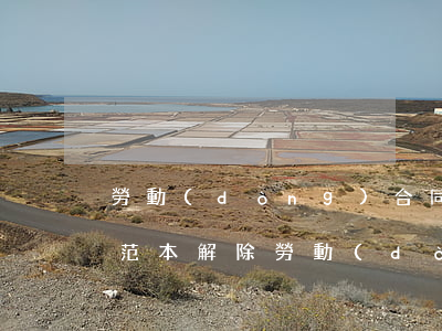 勞動(dòng)合同解除協(xié)議范本(解除勞動(dòng)合同模板)